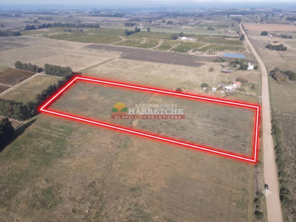Chacra de 3 has en Los Cerrillos, a pasitos del