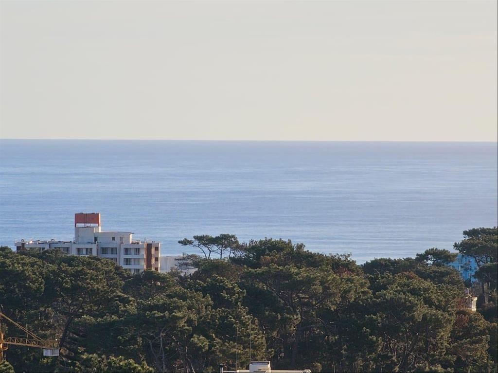 VENTA APARTAMENTO PUNTA DEL ESTE ESTUPENDA VISTA PISO ALTO