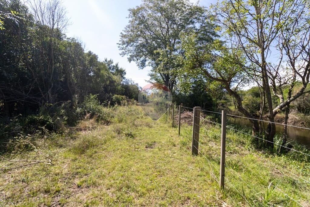 VENTA DE CAMPOS CHACRA, EN LAS BRUJAS, CERRILLOS