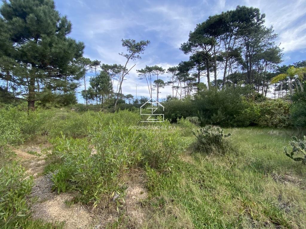 Terreno Venta Chihuahua