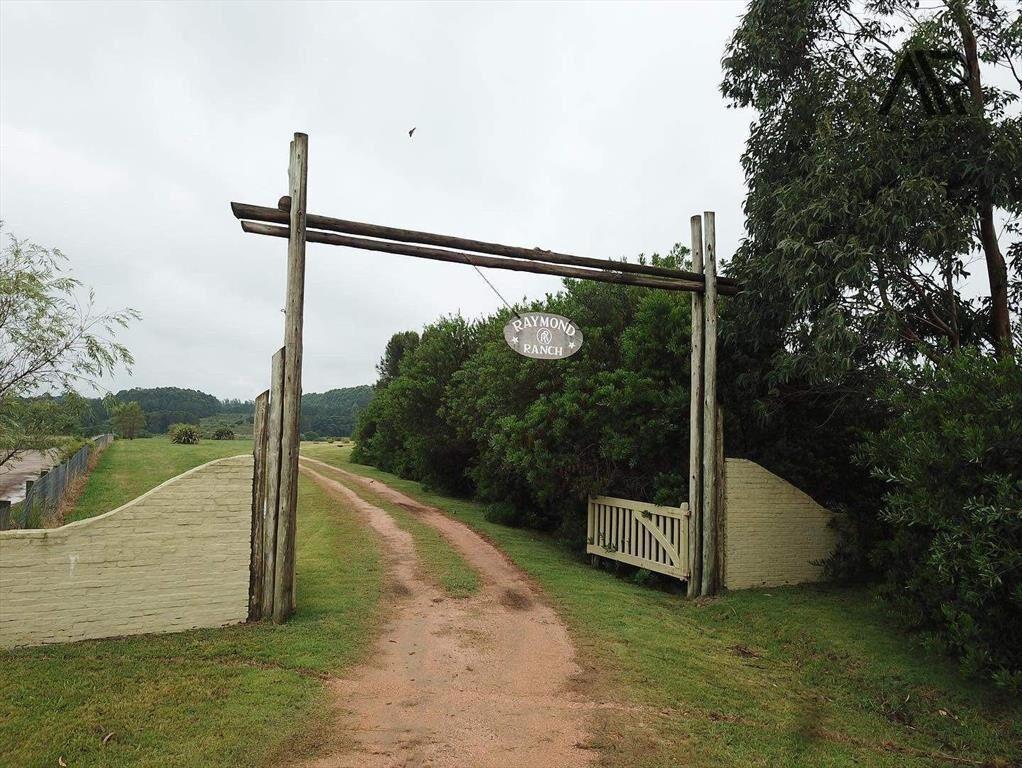 Chacra en venta de 5ha ubicado en Manantiales