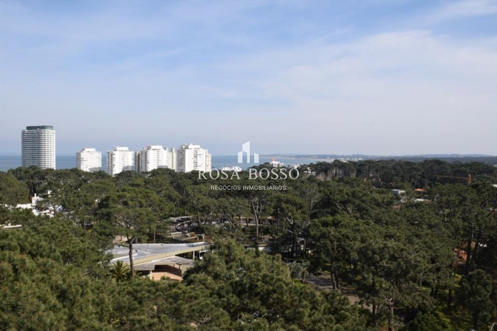 Apartamento en Punta del Este, Mansa