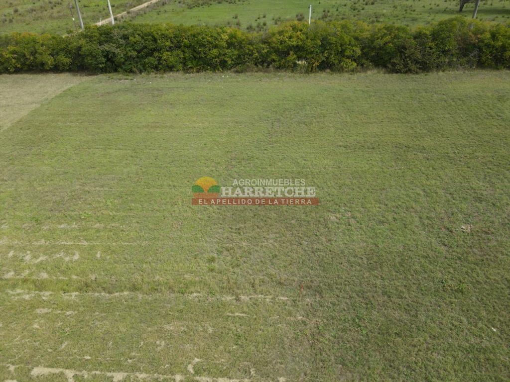 Terreno en Progreso, 360 m2 en Jardín de los (8)