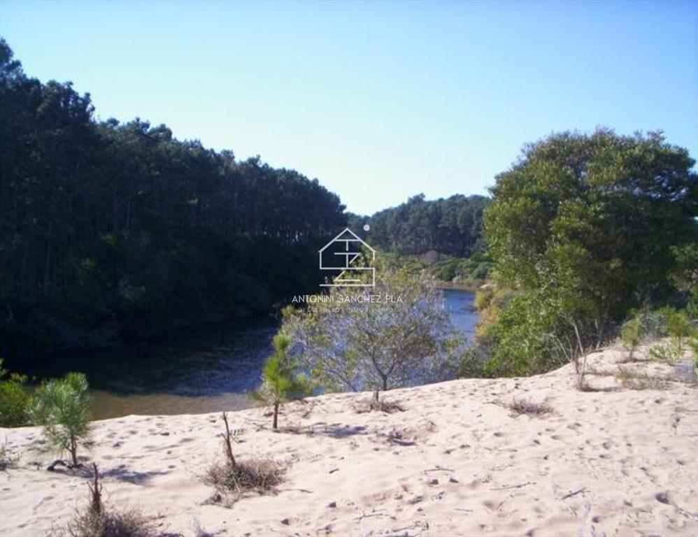 Terreno en Punta Ballena, Chihuahua