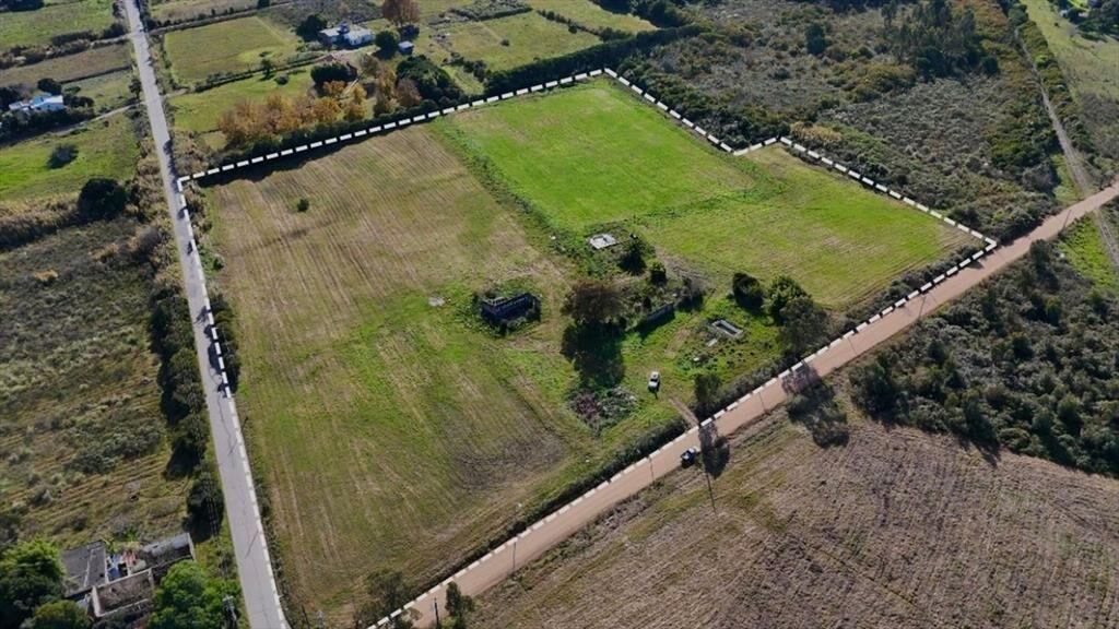 Venta Chacra Toledo 7 hectáreas