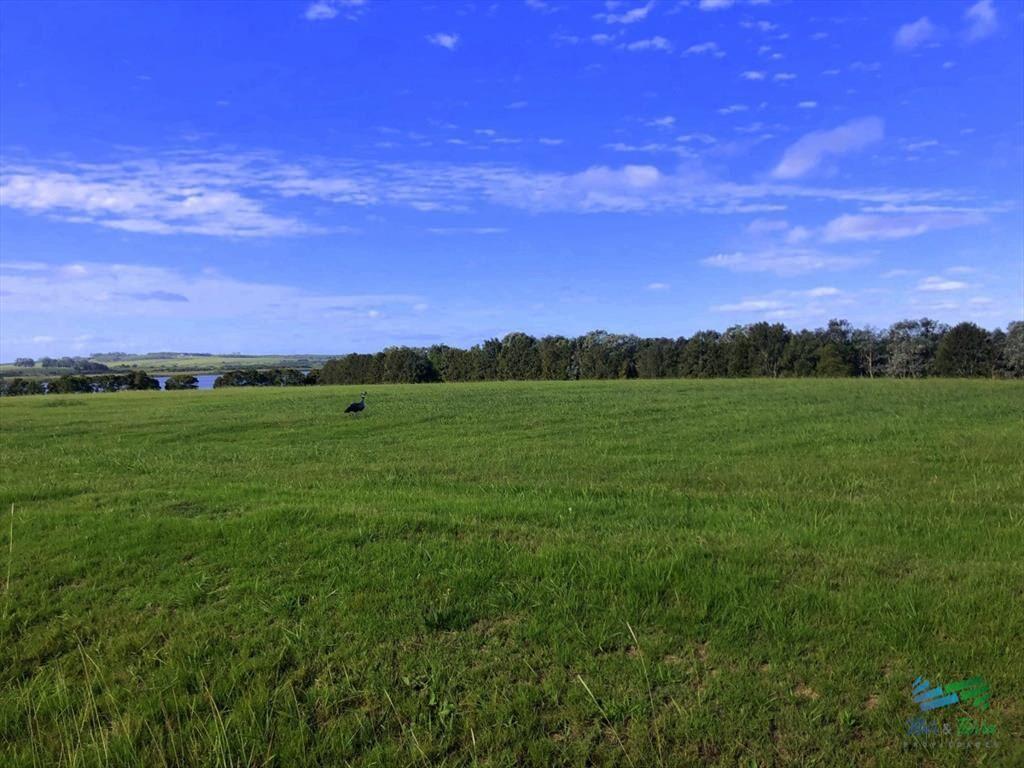 Venta de gran terreno en Laguna de los Cisnes