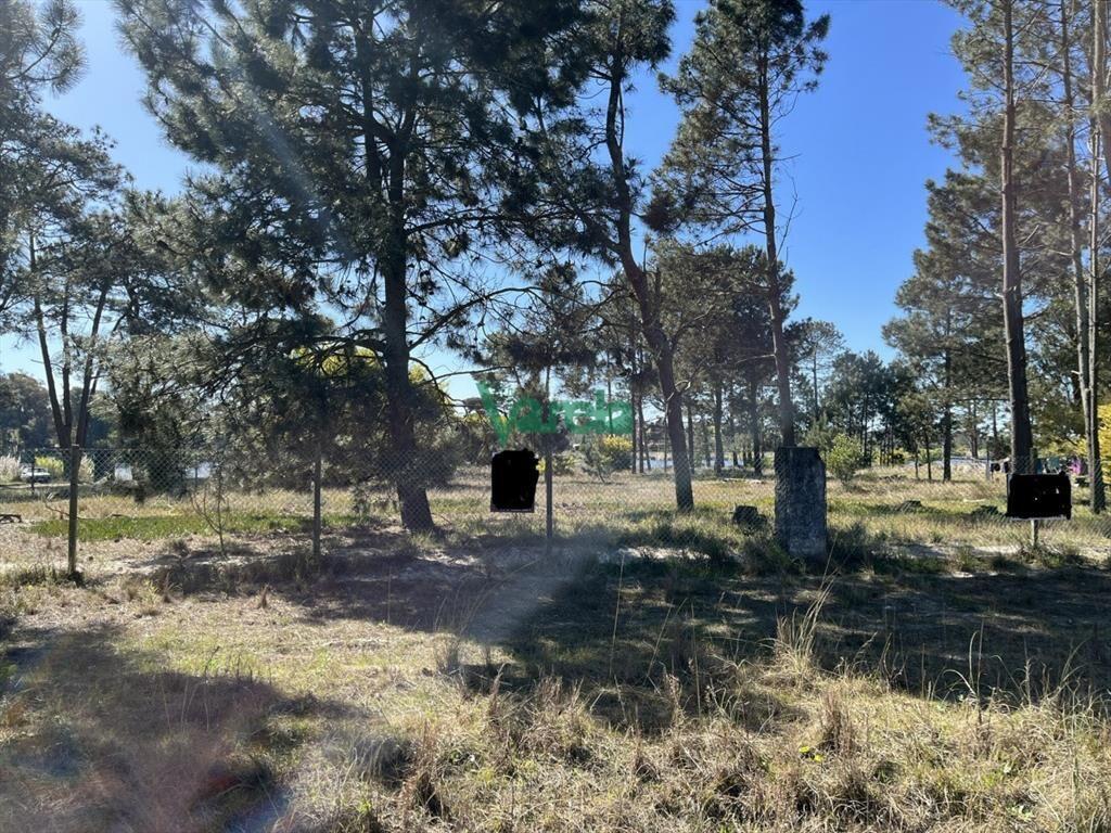 Terreno de 5608 m2 Pinar Sur , en venta .