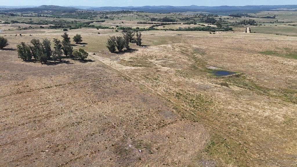 Campo Ganadero en Maldonado