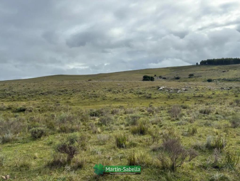 Campo en Venta - Lavalleja