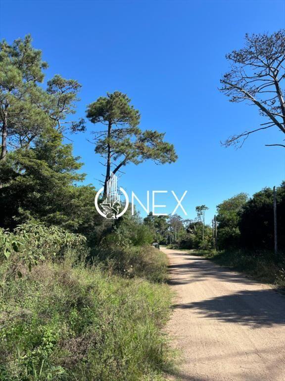 SE VENDE TERRENO EN OCEAN PARK