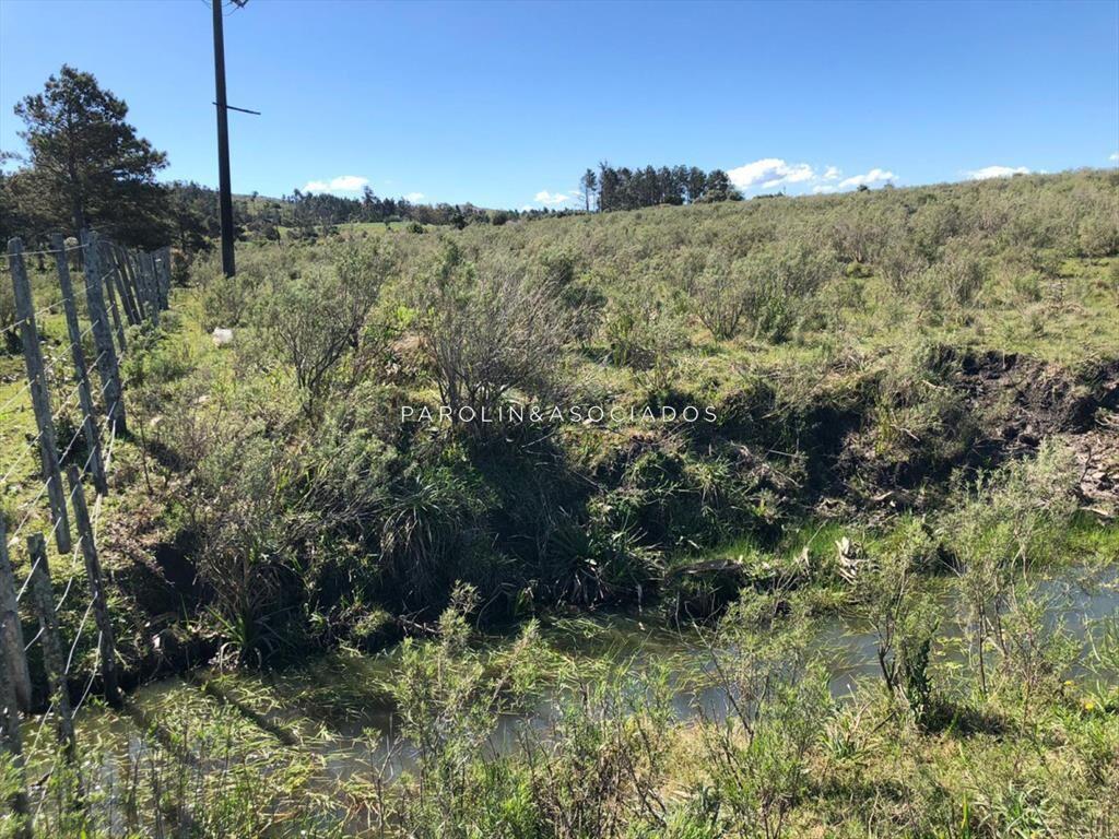 Campo en venta excelente lugar