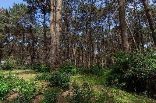 Terreno en venta de 1007m2 ubicado en Laguna Del Sauce