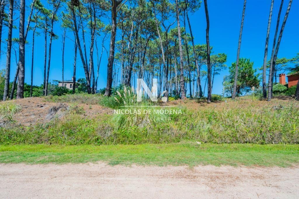 Vende terreno en Laguna Blanca.