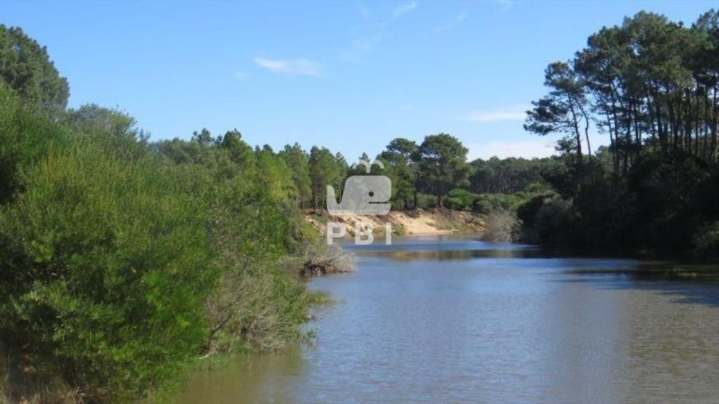 Terreno en venta Chihuahua  - Ref : PBI919