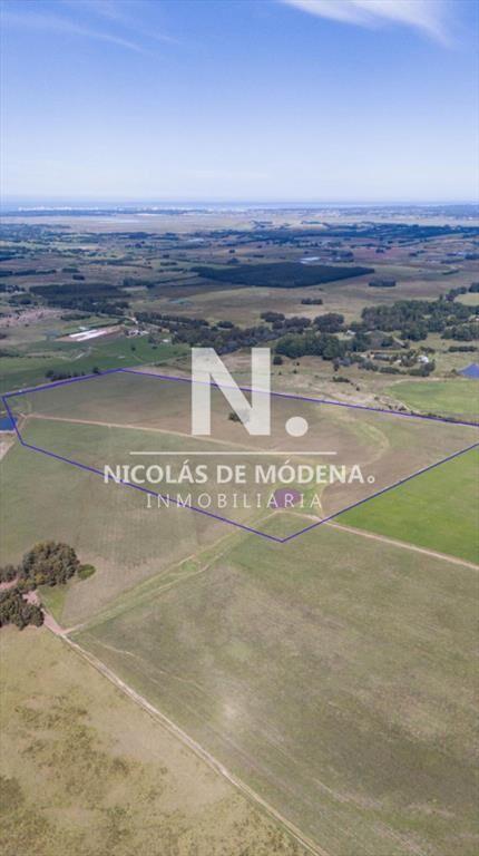 Campo de 42 Hectáreas con Alto Potencial de y -