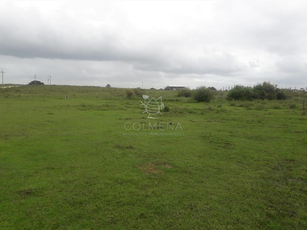 Campo de 5 has con 5891 m2
