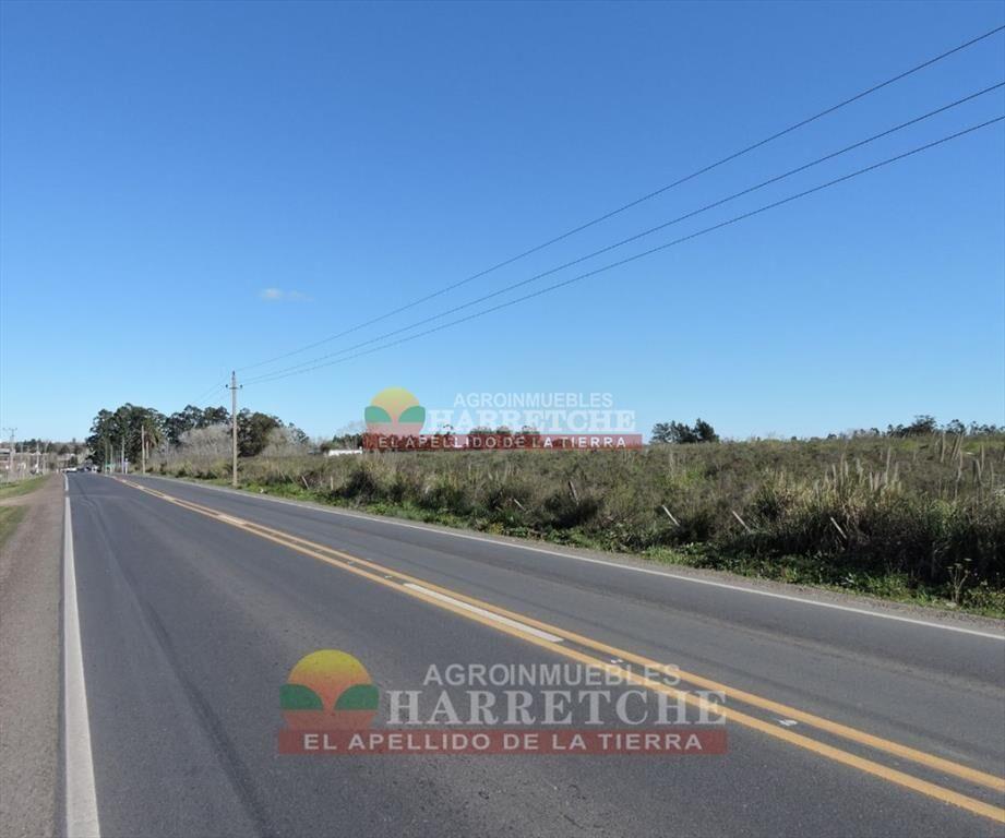 Chacra en venta 7 has sobre Ruta, Canelón Chico