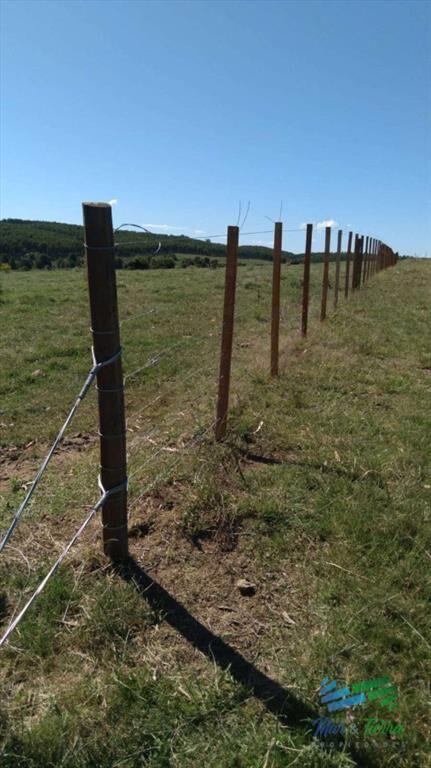 Linda fracción de campo ganadero con aptitud