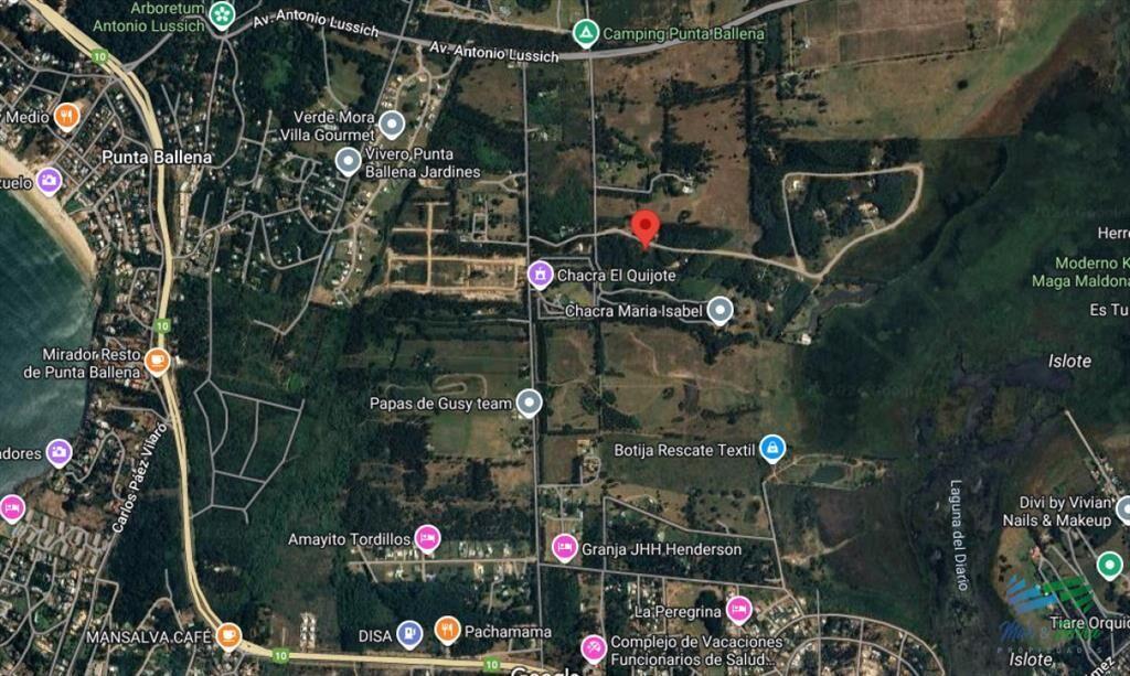 En venta chacra de 1 hectarea en Laguna del Punta