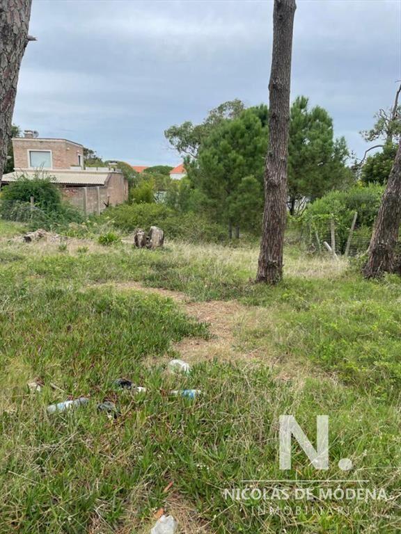 TERRENO EN MONTOYA