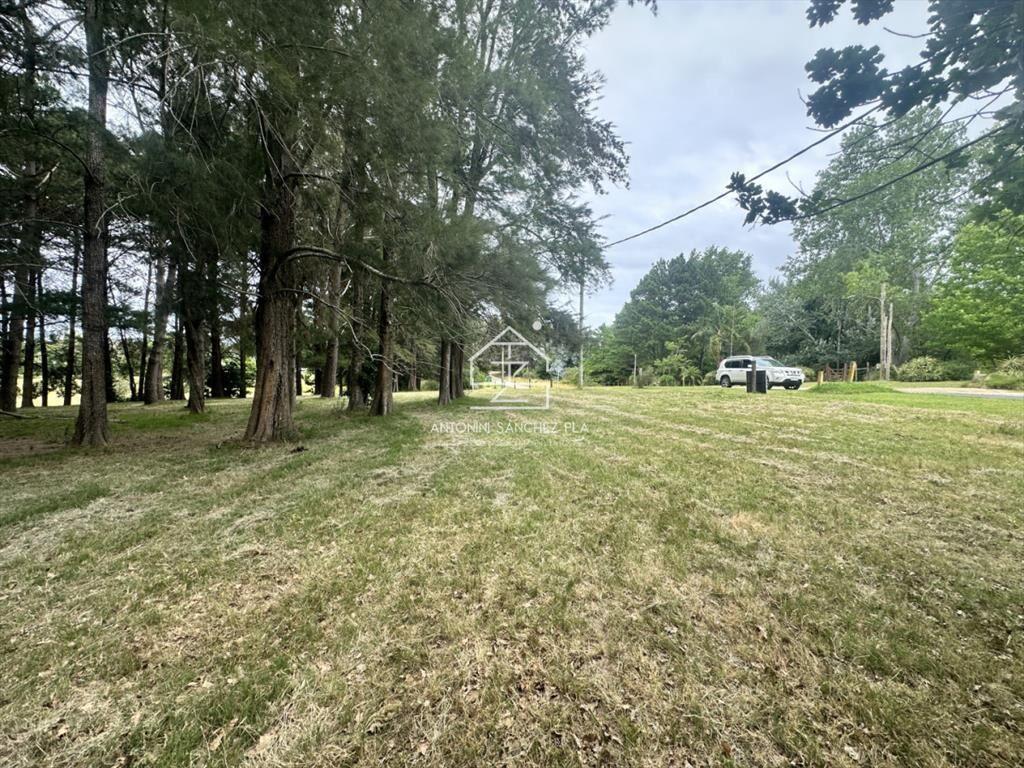 Venta chacra en punta Ballena