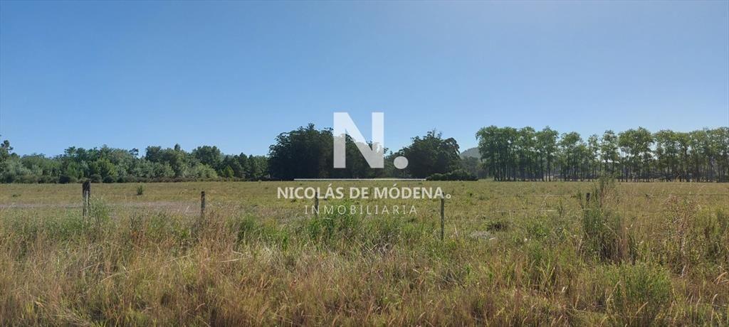 Venta fracción de campo en zona La Pataia