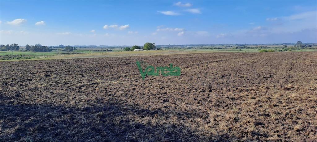 Campo 108 has. próximo a San Jacinto