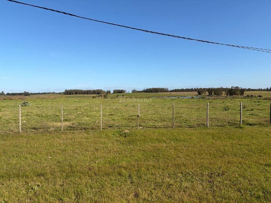 Venta Campo Canelones