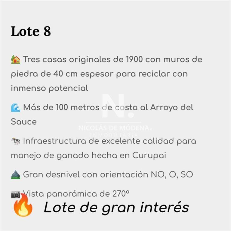 Chacra de 11 has con cascos antiguos. Proximo a