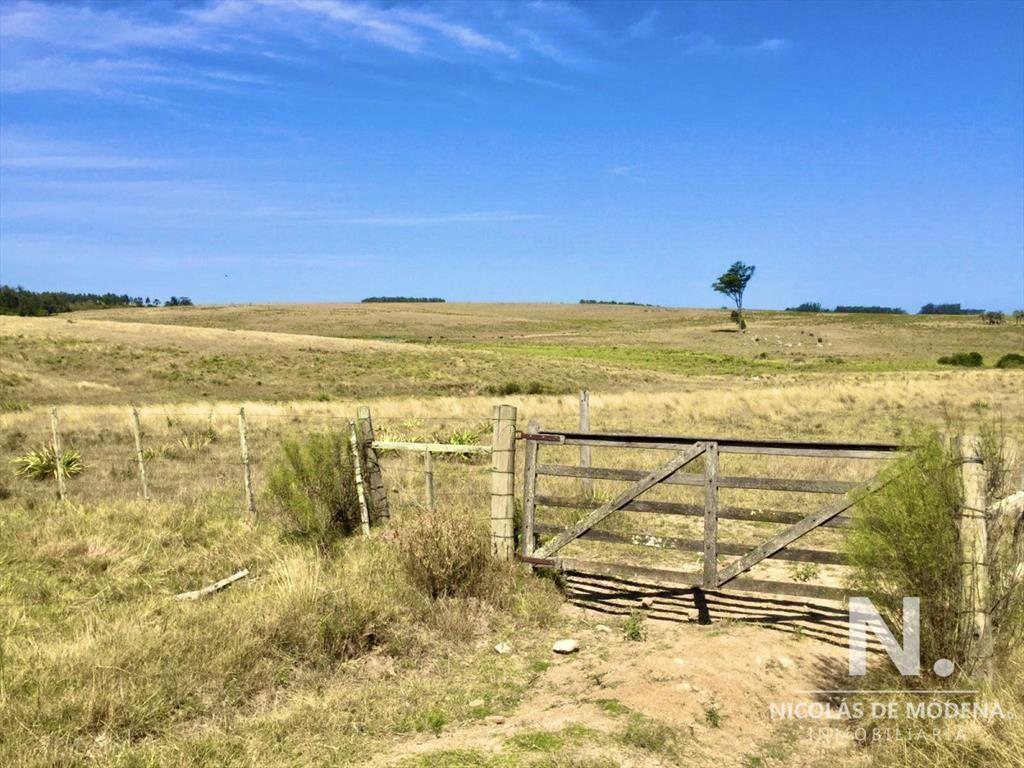 Campo productivo en zona José Ignacio
