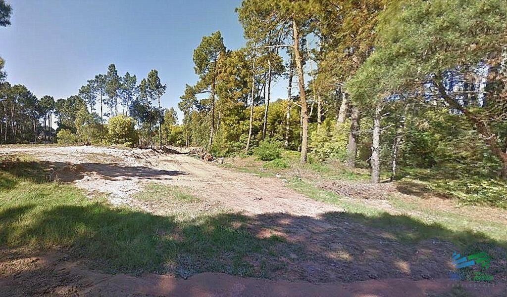 Venta de terreno 1200 m2 en Burnett Punta del