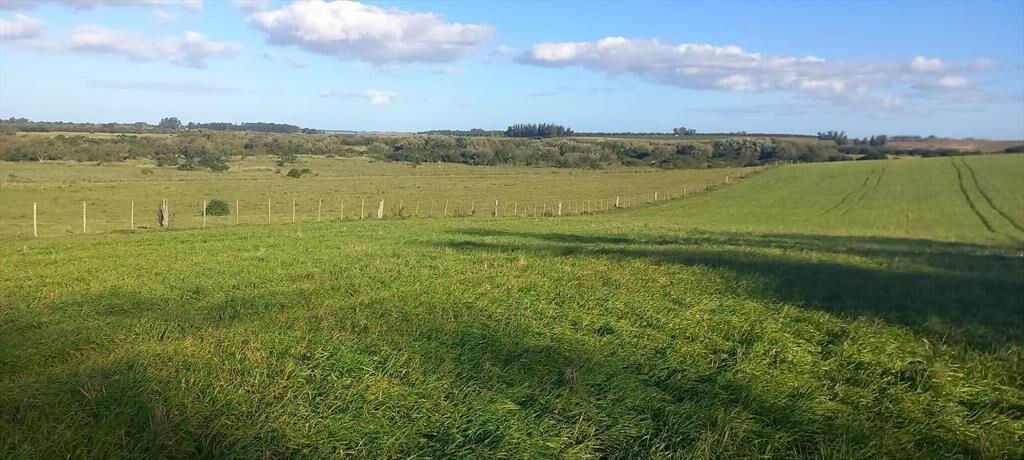 Campo en Rocha