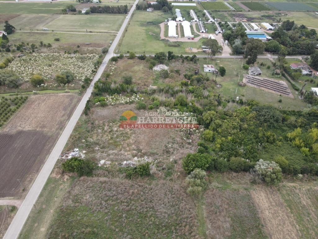Terreno en Paso de la Arena, 15.789 m2, excelente