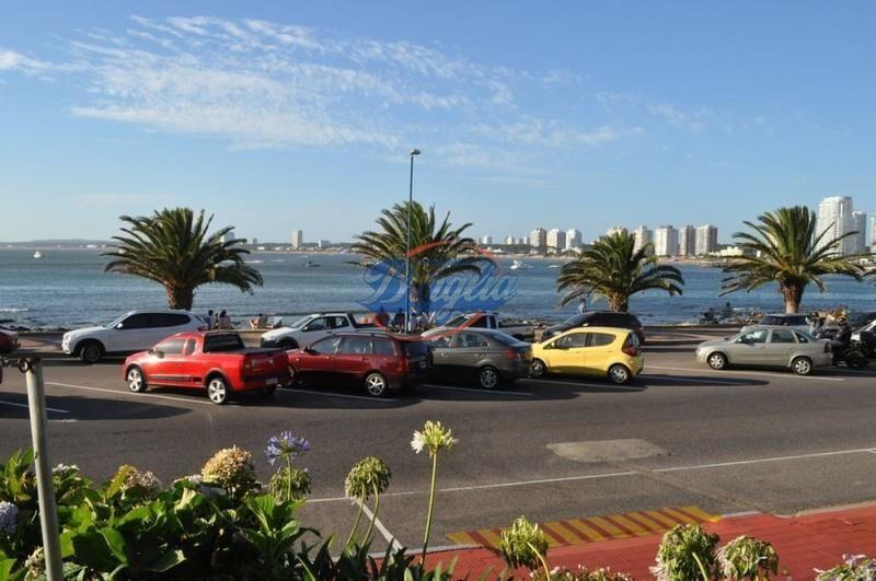 Apartamento Alquiler Temporal en Península