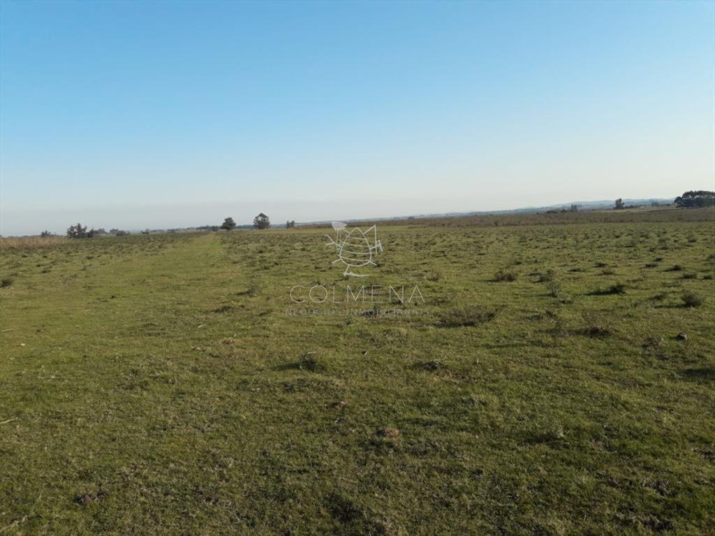 Campo de 66 has con 1991 m2 - En Corte la Leña -