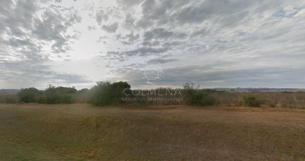 Logística, Galpones sobreR.39, Oportunidad