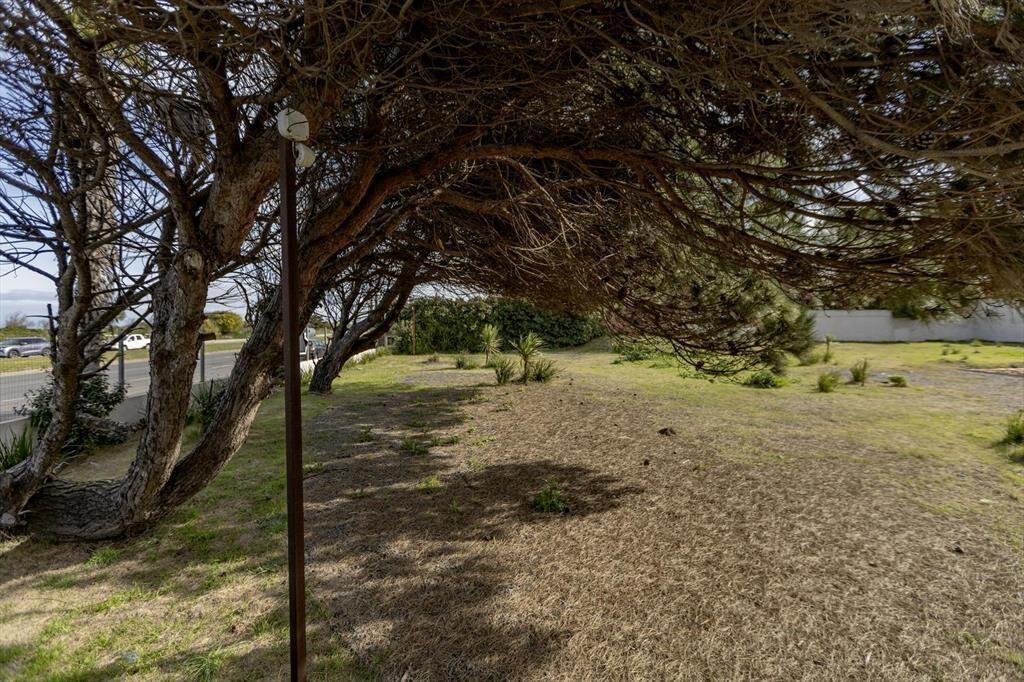 1500 m2 de Terreno en la Rambla de Carrasco