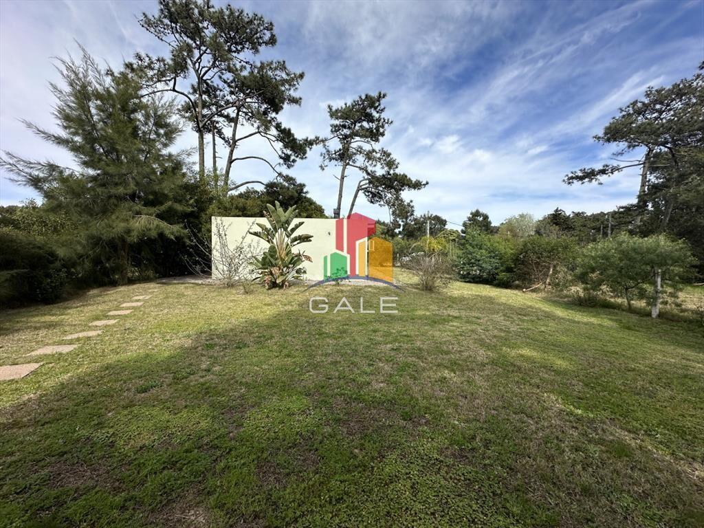 Venta casa en TÃo Tom