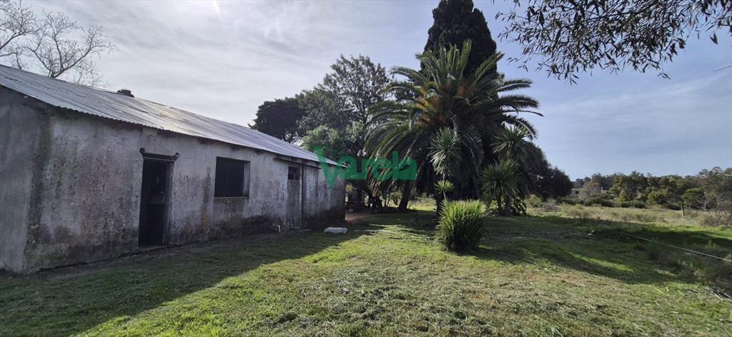 Venta de Chacra de 6 hectareas en Santa Lucia del