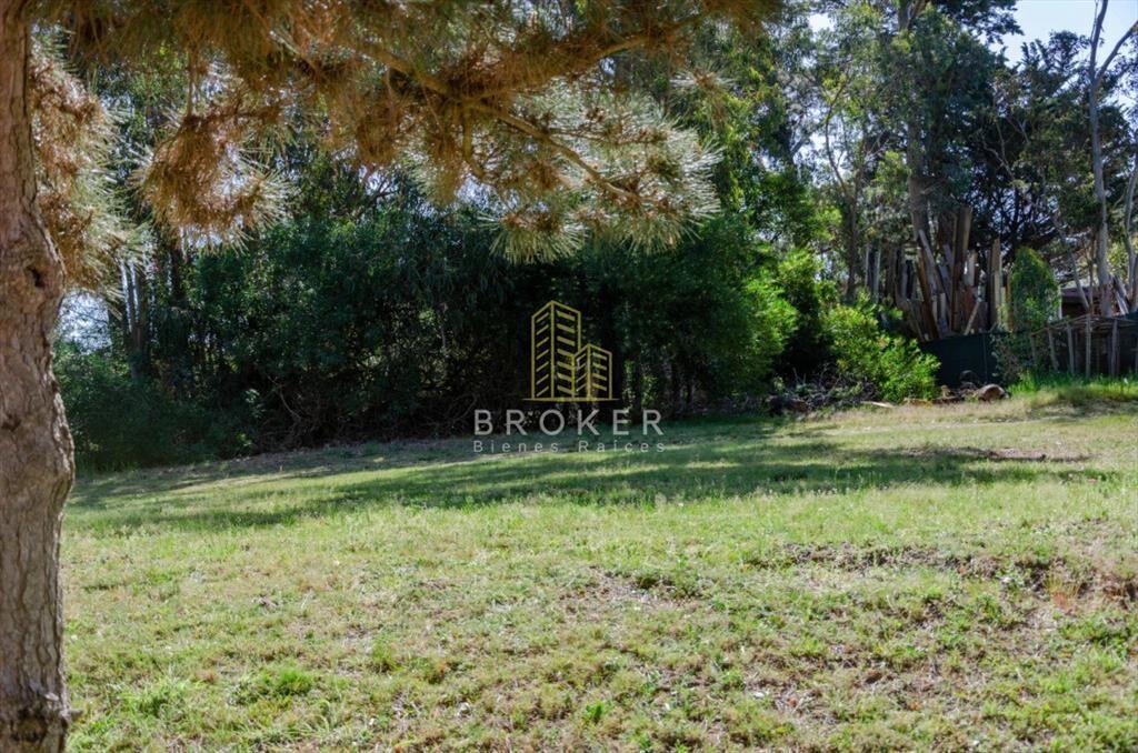 Terreno en Punta del Este, Mansa