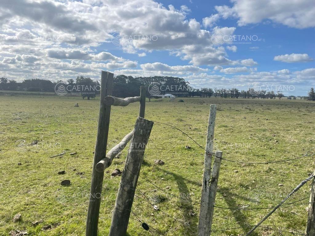 Chacra en venta sobre Camino Medellín