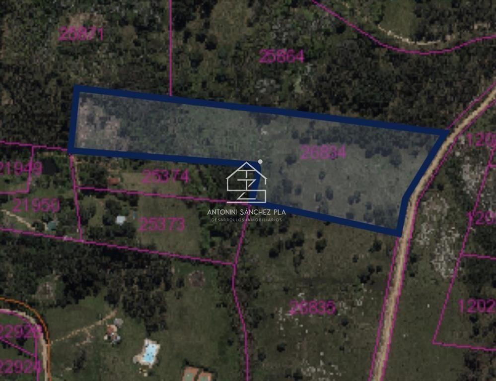 Venta chacra sobre camino La pataia Punta Ballena