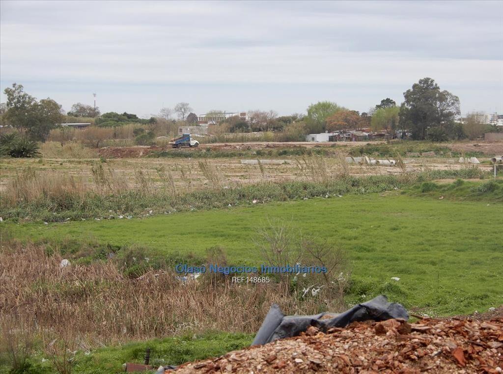 4 hás a la venta en CERRO NORTE