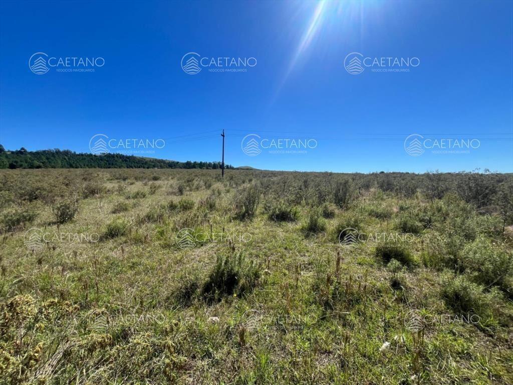 CHACRA EN VENTA LA PATAIA 10 HECTAREAS