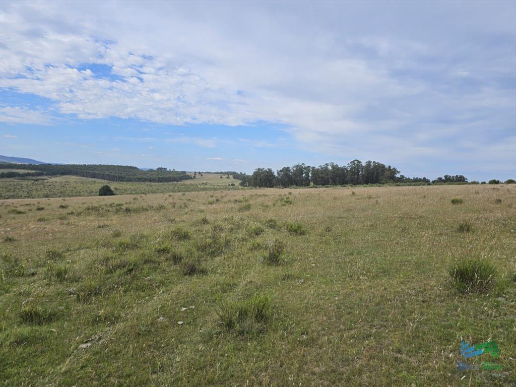 En venta chacra 3 hectareas, proxima ruta 39, a