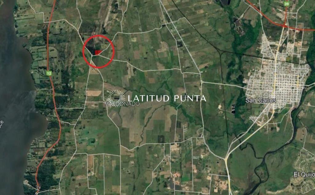 Chacra de casi 5 hectáreas a minutos de Punta