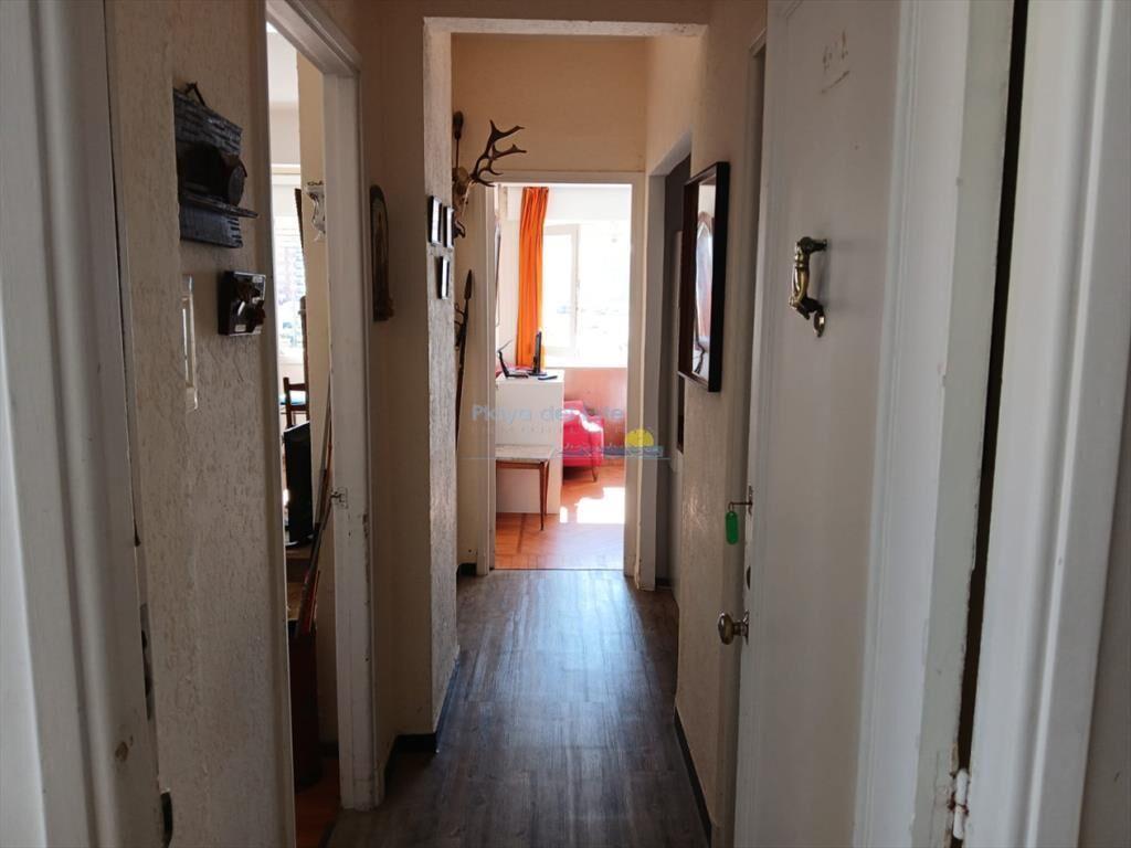 Apartamento de 1 dormitorio en alquiler temporal
