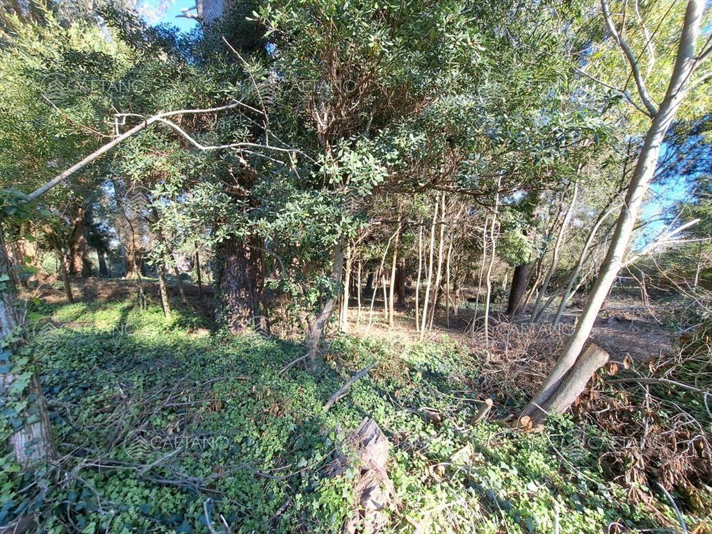 Venta de lote 650 M2 Rincón del Indio