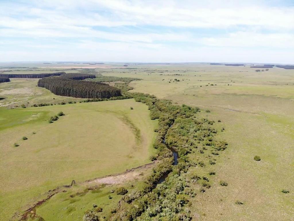 VENTA DE CAMPO GANADERO – 694 HAS. EN RIO NEGRO