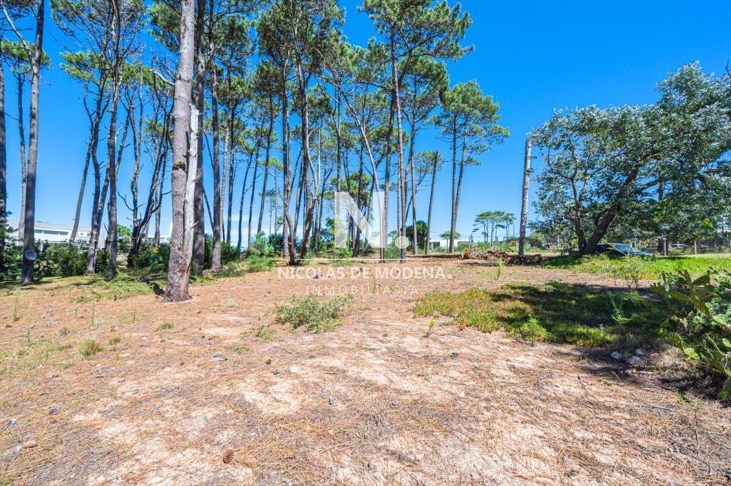 Vende terreno en Laguna Blanca.